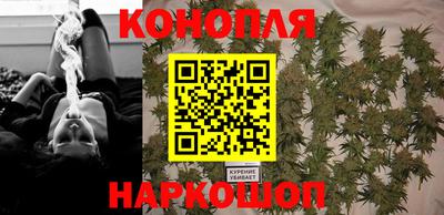 индика Апшеронск