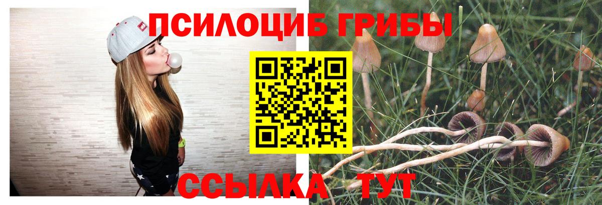 Галлюциногенные грибы Psilocybine cubensis  Галлюциногенные грибы мухоморы  Вход с VPN  цены   Баксан 
