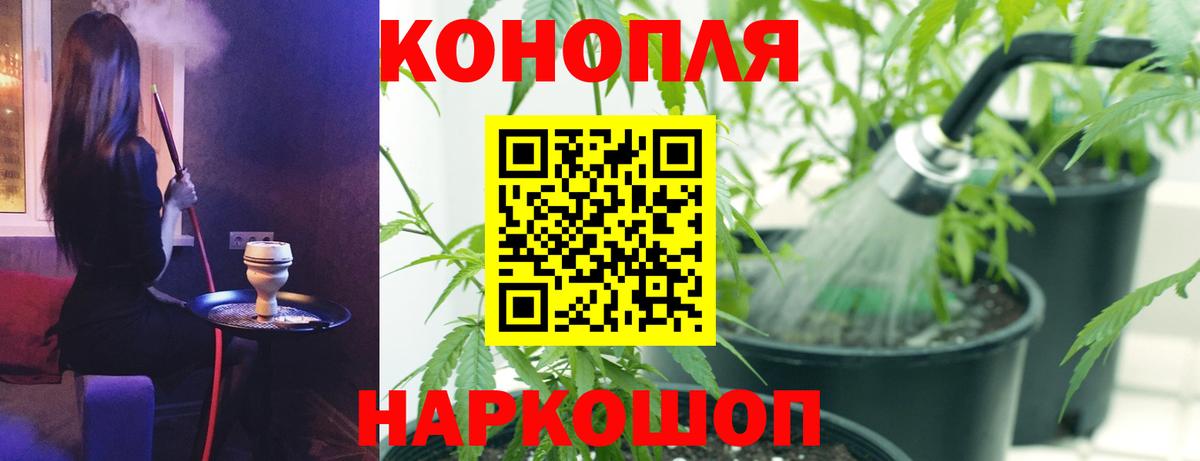 Канабис THC 21%  Вход с VPN  Бошки Шишки конопля  Баксан 